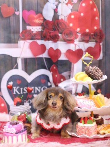 20250205ココちゃん